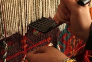 Bodrum port: Guided City Tour with Castle & Mausoleum Visit