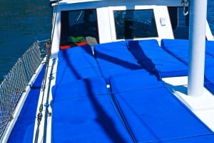 Bodrum: tour en barco privado con snorkel y almuerzo