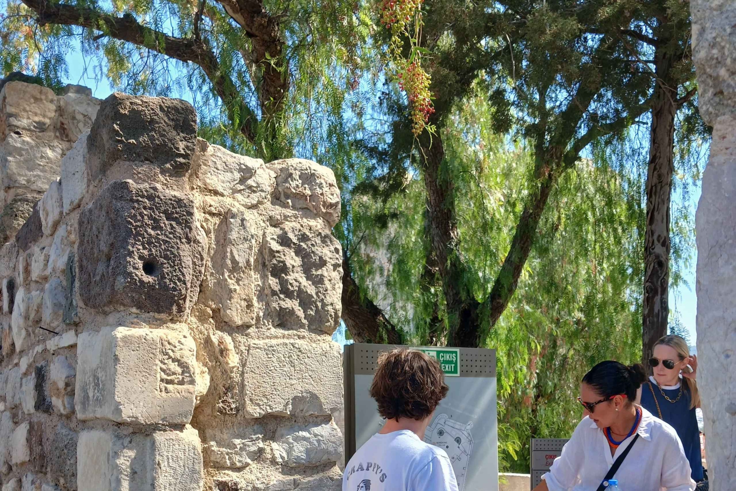 Bodrum: tour della città privato e guidato per crocieristi