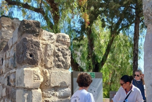 Bodrum: tour della città privato e guidato per crocieristi