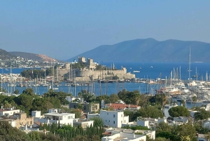Bodrum: tour della città privato e guidato per crocieristi