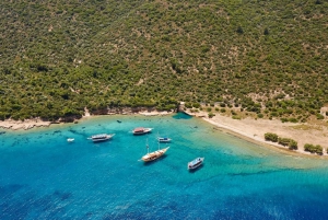 Bodrum: Private Island Boat Tour with Lunch