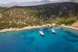 Bodrum: Private Island Boat Tour with Lunch
