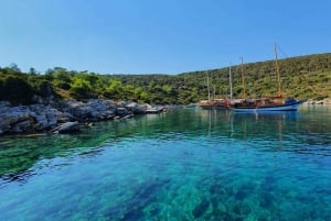 Bodrum: Private Motoryacht Tour with swimming stops & lunch