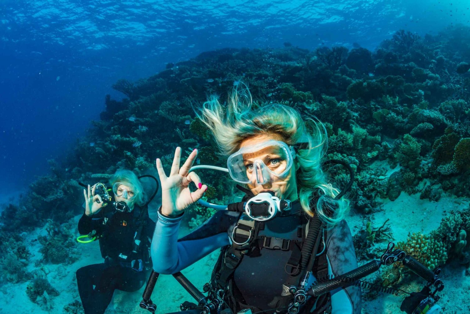 Bodrum: Briefing om dykning og dykkeroplevelse