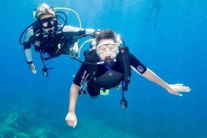 Bodrum: Scuba Diving Briefing & Diving Experience