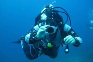 Bodrum: Scuba Diving Briefing & Diving Experience