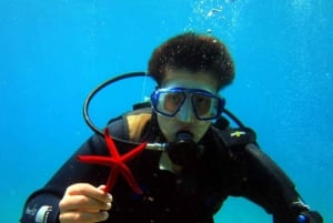 Bodrum: esperienza di immersione subacquea