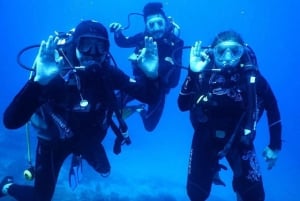 Bodrum Scuba Diving Experince med lunsj og transport tur/retur