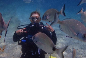 Bodrum Scuba Diving Experince W/ Lunch & Round Trip Transfer