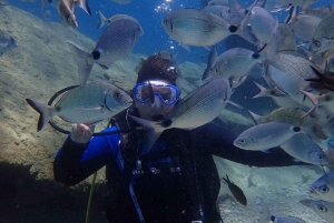 Bodrum Scuba Diving Experince W/ Lunch & Round Trip Transfer