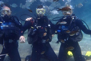 Bodrum Scuba Diving Experince W/ Lunch & Round Trip Transfer