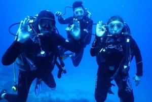 Bodrum Scuba Diving Experince W/ Lunch & Round Trip Transfer