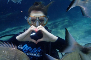 Bodrum Scuba Diving Experince W/ Lunch & Round Trip Transfer