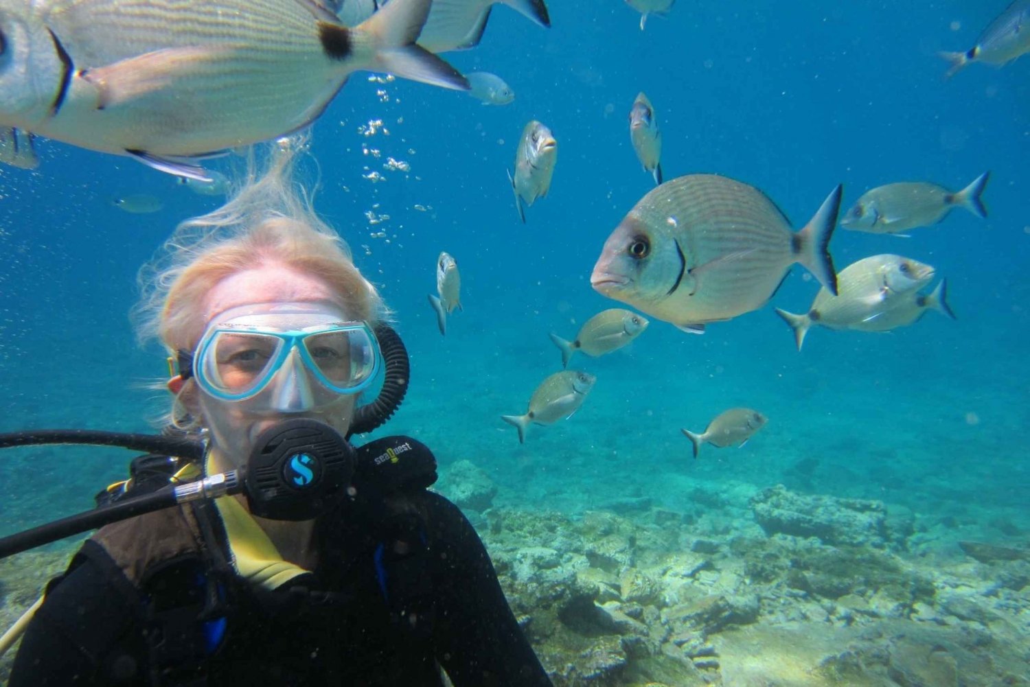 Bodrum: Excursión de submarinismo con almuerzo incluido