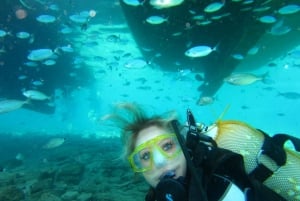 Bodrum: Excursión de submarinismo con almuerzo incluido