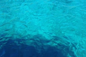 Bodrum : excursion de plongée sous-marine avec déjeuner