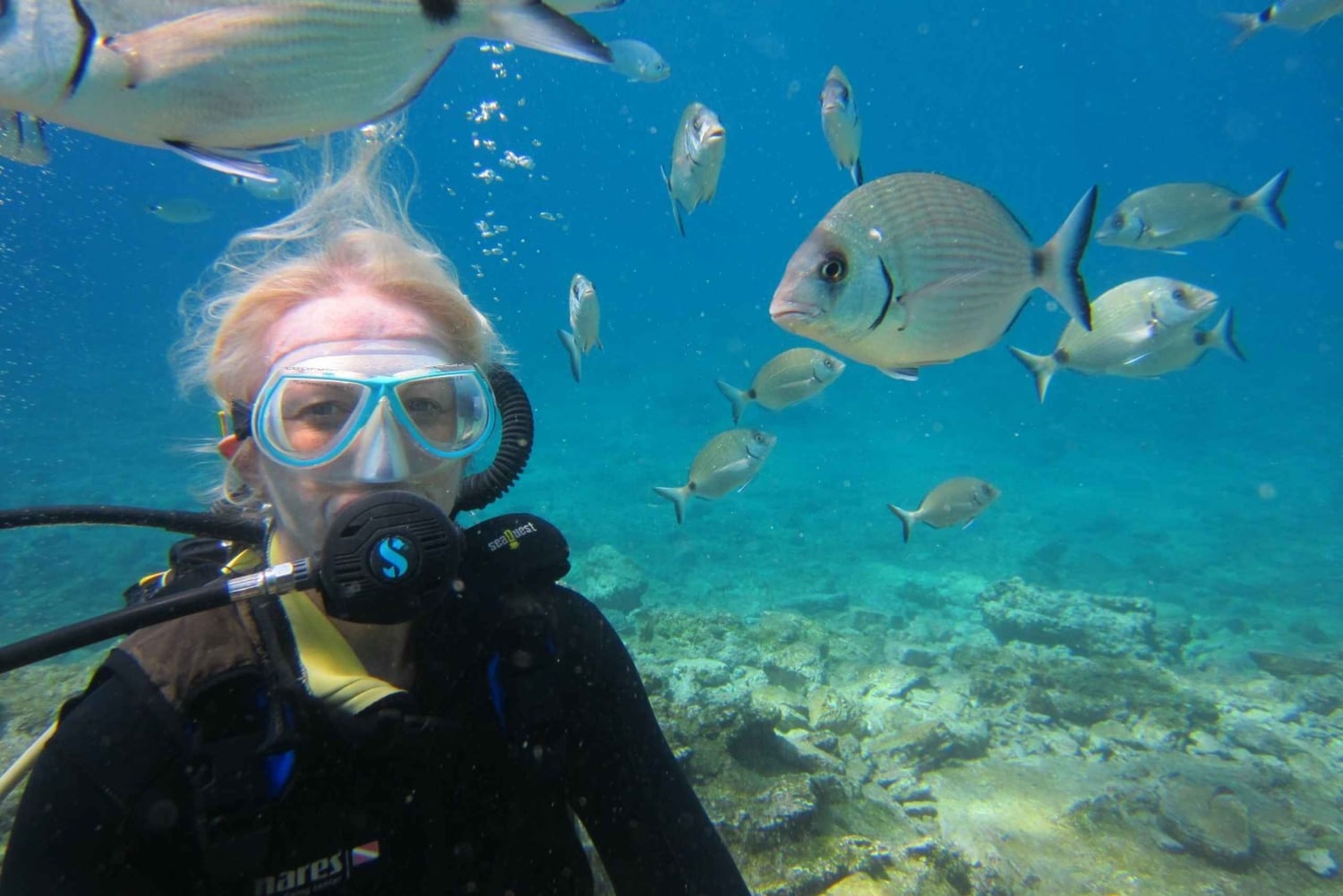 Bodrum: Tauchtrip mit Mittagessen