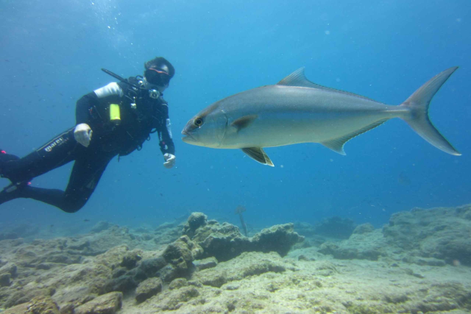 Bodrum: Tauchtrip mit Mittagessen