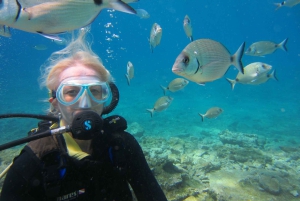 Bodrum: Tauchtrip mit Mittagessen