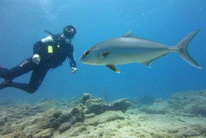 Bodrum: Tauchtrip mit Mittagessen