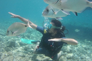 Bodrum: Tauchtrip mit Mittagessen