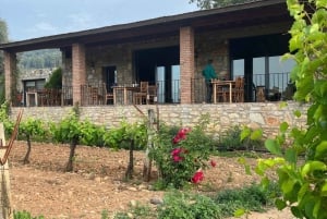 Bodrum Village Charm & Wine Delight Tour