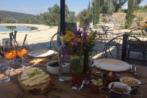 Bodrum Vineyard Tour with Dinner and Wine Pairing