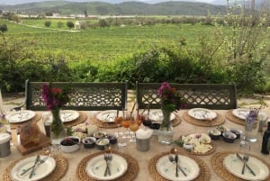 Visite des vignobles de Bodrum avec dîner et accord mets-vins
