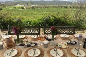 Bodrum Vineyard Tour with Dinner and Wine Pairing