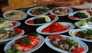Denizhan