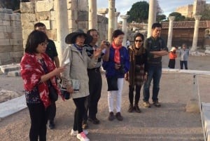 Da Bodrum: Efeso, Casa di Maria, Tempio di Artemide con pranzo