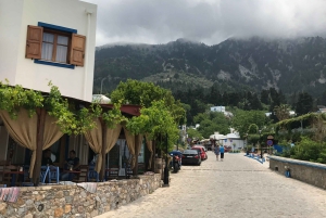 Från Bodrum: Biljett till färjan till den grekiska ön Kos