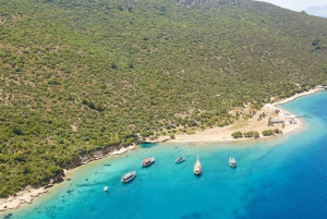 Bodrum Orak island Boat Trip