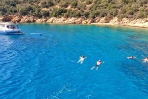 Vanuit Bodrum: Boottocht naar het eiland Orak met zwemstops en lunch
