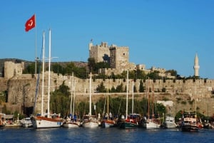 From Bodrum Port: Full-Day Tour with Castle and Mausoleum