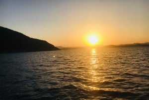 Från Bodrum: Privat båttur i solnedgången med middag och simning