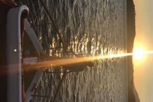 Från Bodrum: Privat båttur i solnedgången med middag och simning