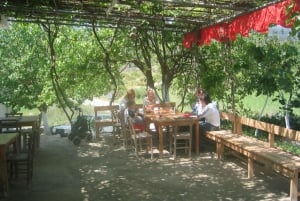 De Bodrum: excursão privada à vila com almoço e traslados