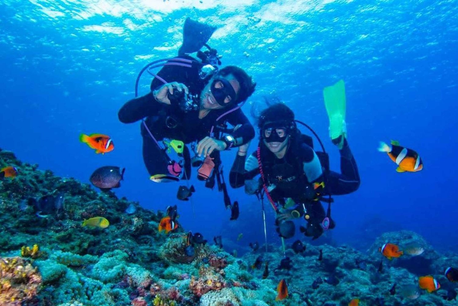 From Bodrum: Scuba Diving in the Aegean Sea
