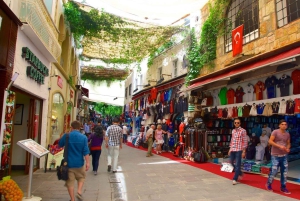 コス発：ボドルムへのオリエンタルバスツアー（往復フェリー＆送迎付き）