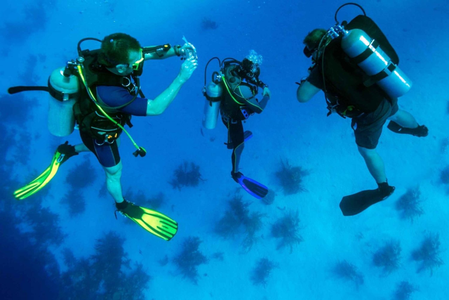 From Bodrum: Scuba Diving in the Aegean Sea