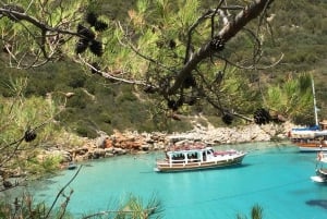Isola di Orak: escursione in barca da Bodrum