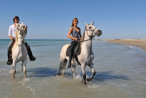 Bodrum: Horseback Riding Experience