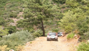 Jeep Trophy