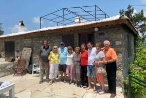 Olive Tasting & Rustic Lunch in country home with live music