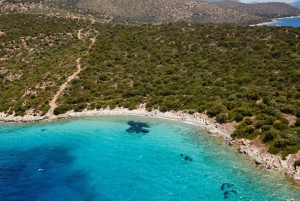 Båttur till ön Orak från Bodrum