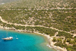 Båttur till ön Orak från Bodrum