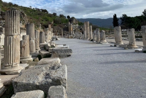Private Ephesus Tour from Bodrum Port with Local Lunch