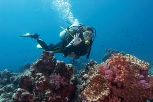 Scuba Diving Tour in Bodrum